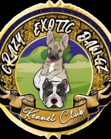 Crazy Exotic Dawgz Kennel Club